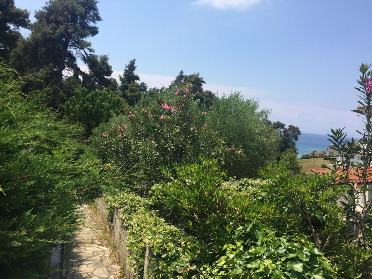 Villa Elani 卡桑德里亚 外观 照片